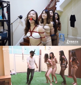 YT1539 뵺գֻӥе