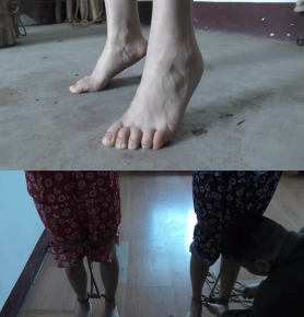 ˫