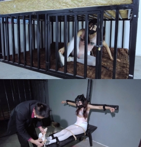 Ϧ涷ϻʼйнţ˿Ⱥײ˫ؾżĥȫ...