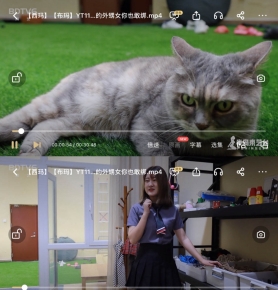 ꡿꡿YT1155 ҵŮҲҰ