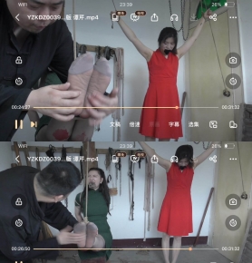 YZKDZ0039-֬ 뻢Ѩر ̷