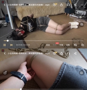 Сӱ-ŮҪɾӣ