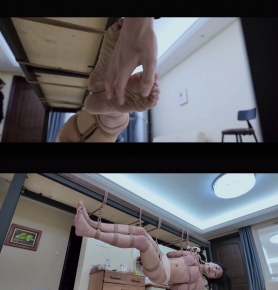 YT2324 ҵ