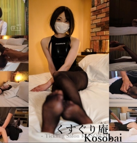 SDL_295