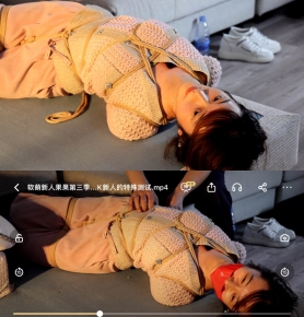 ˹ԭζ.ȫ룬TK˵