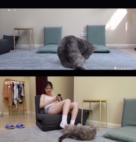 뵺̨СYT994 뵺ҵèҲ